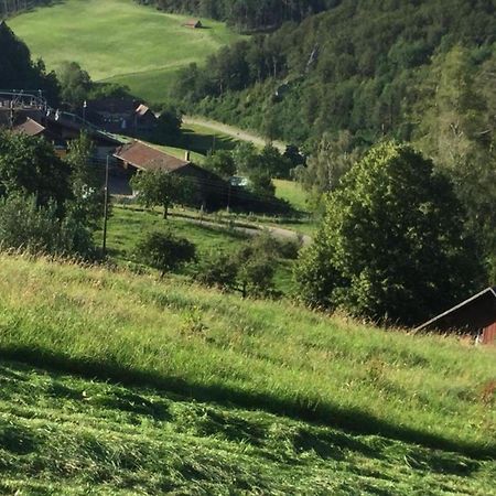 Ferienwohnung Hof Unterer Duerrenberg Langenbruck المظهر الخارجي الصورة