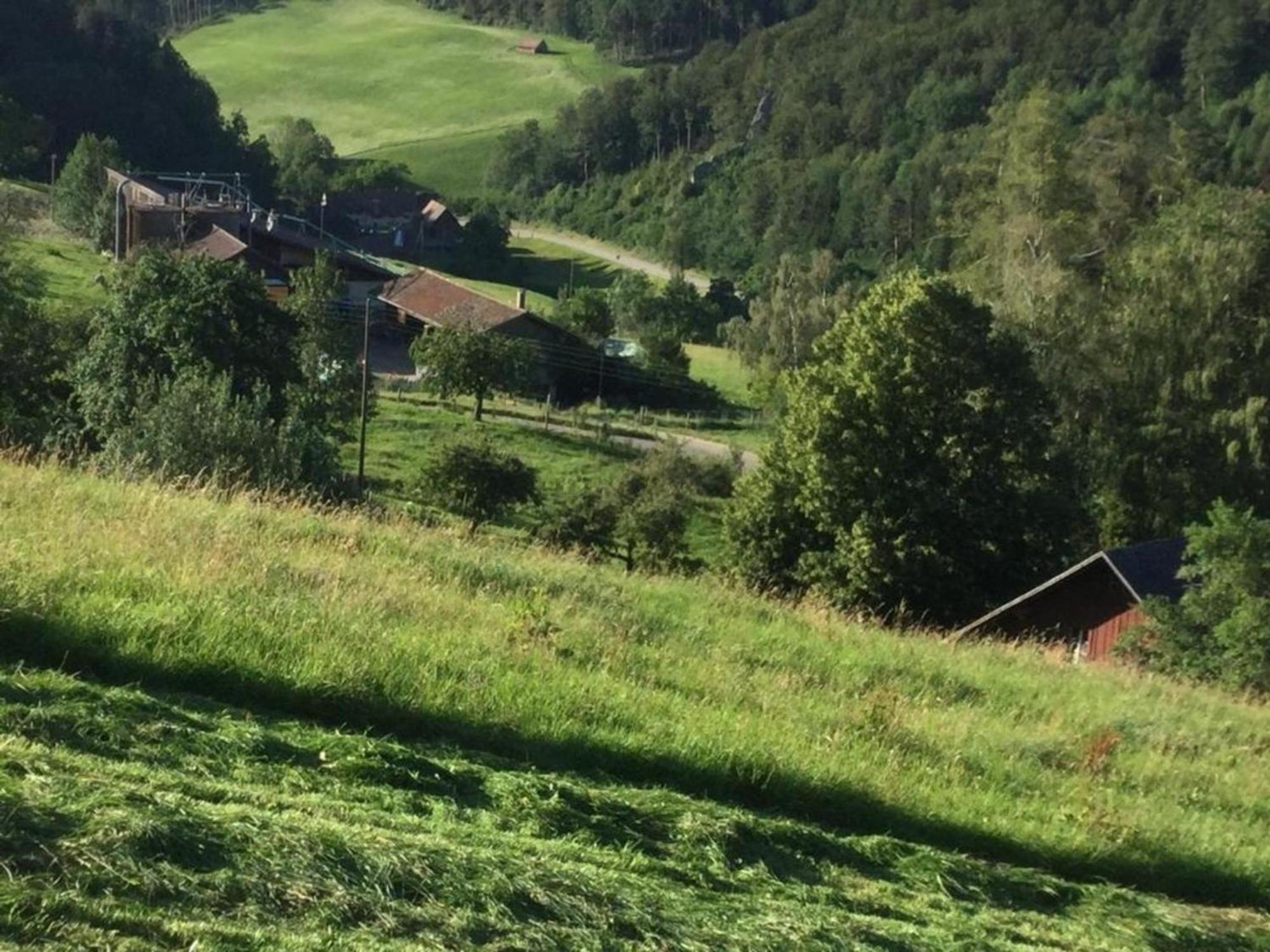 Ferienwohnung Hof Unterer Duerrenberg Langenbruck المظهر الخارجي الصورة