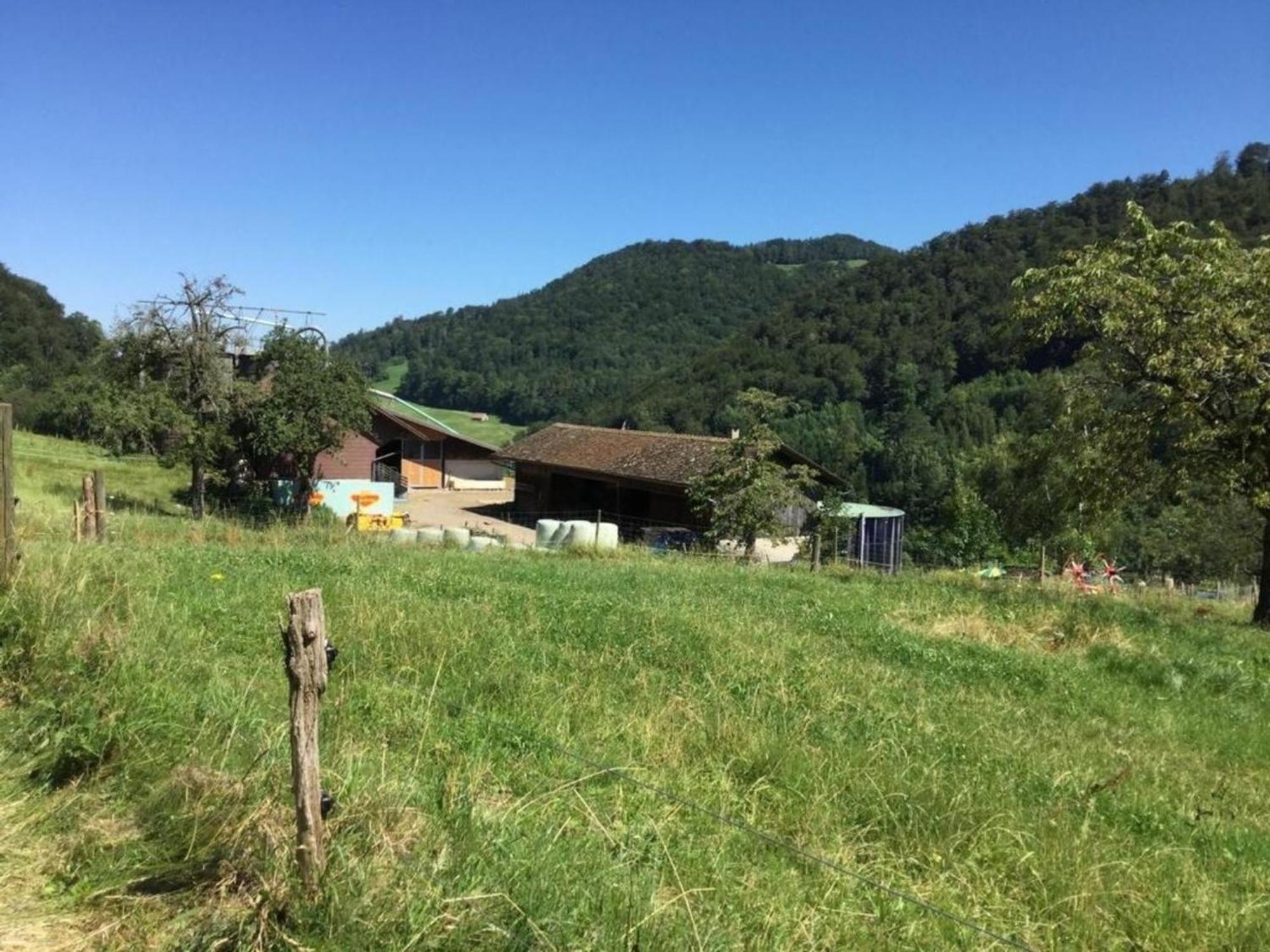 Ferienwohnung Hof Unterer Duerrenberg Langenbruck المظهر الخارجي الصورة